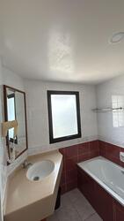 The Springfield (D16), Terrace #504489611